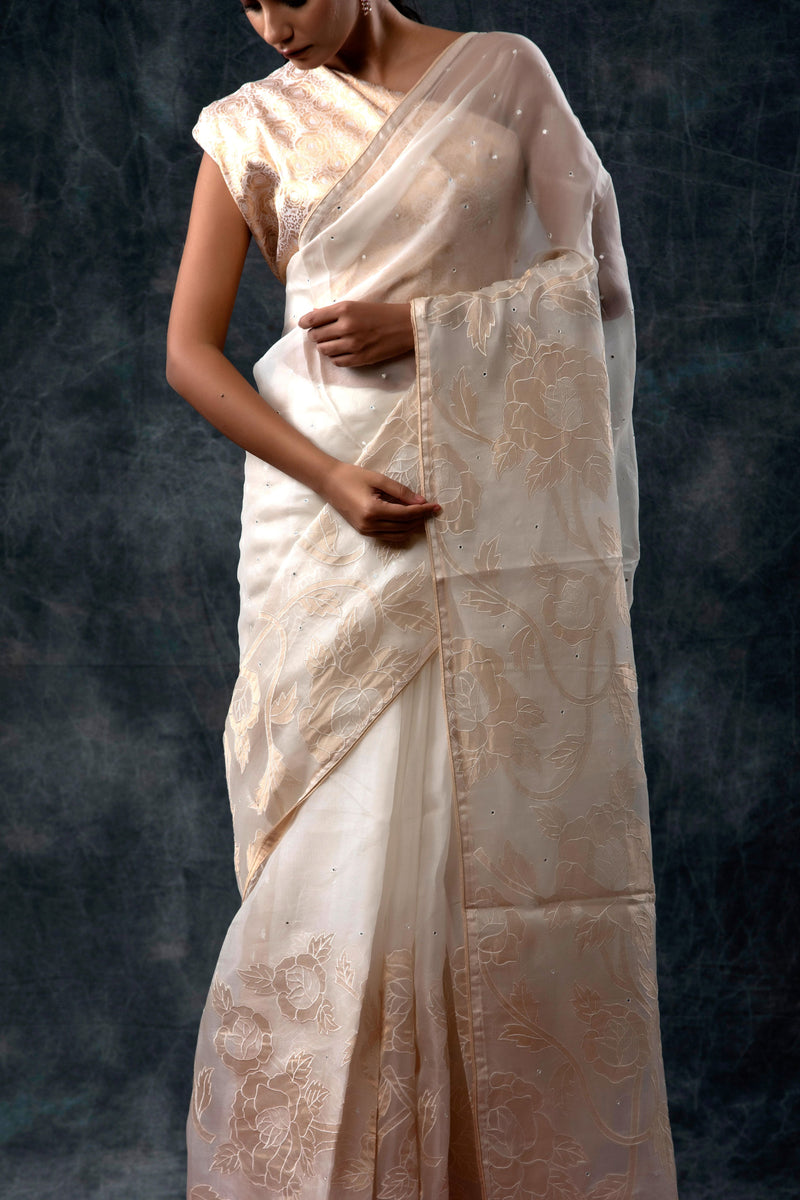 Organza Saree with Appliqué Allure