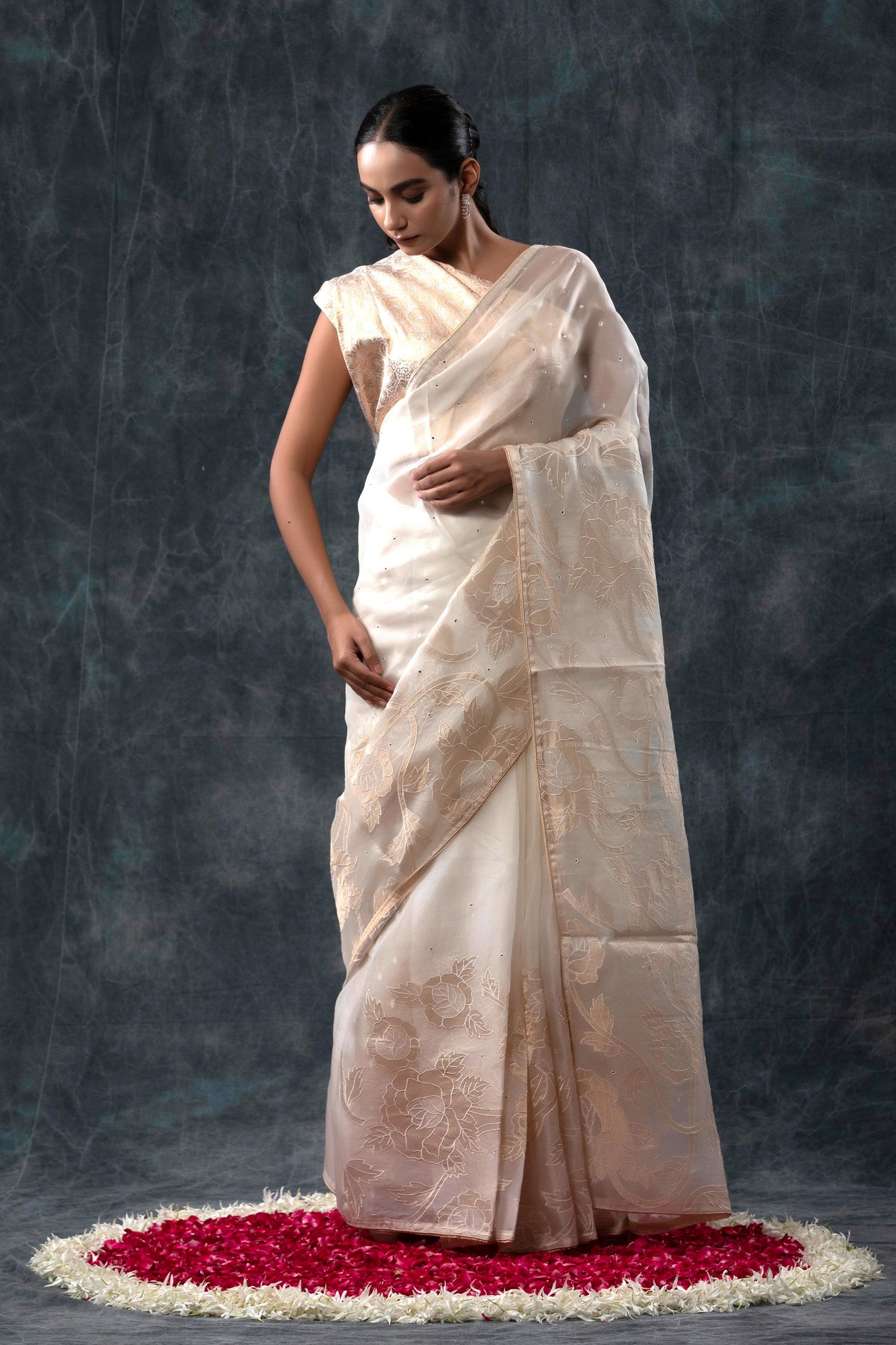 Organza Saree with Appliqué Allure